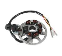 Ignition Stator Coil Compatible With 491 50 AC GT K2 50 Naked 50 AC 03 Pepe 50 LX Fits EIKON 50 TEMPO 50 ARK 50 Scooter Moped Models