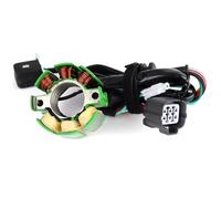 Ignition Stator Coil Compatible With For KX250F 2004 2005 2006 2007 2008 2009 2010 Motorbike Accessories Pole Magneto Engine Stator Generator Coil 21003-0015