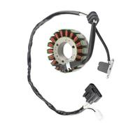 Ignition Stator Coil Compatible With For Rage For RSG90 For Phazer500 Motorcycle Stator Coil Generator Ignition Coil Replacement Engine Part