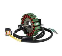 Ignition Stator Coil For Triton ATV Baja 250 300 400 SM EFI Outback 4x2 4x4 Supermoto Crosser 31120-E10-100 Generator Magneto Stator Coil