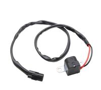 Ignition Stator For Suzuki DF40 DF50 DF60 DF70 DF90 DF100 32160-87J00 Motorcycle Magneto Stator Ignition Coil Pulse Generator Senso Assembly