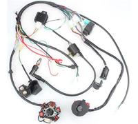 Ignition Stator Full Complete Electrics Wiring Harness CDI STATOR 6 Coil For Motorcycle ATV Quad Pit Bike Buggy Go Kart 50 70 90 110 125cc