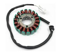 Ignition Stator Magneto Coil For Hengjian For 2-stroke 250 MT250 Motorbike CDI Ignition Device Motorcycle Coil Wiring Ignition CDI Igniter(1)