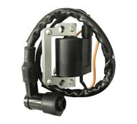 Ignition Stator Magneto Coil For MR50 MR175 MT250 For MT125 XL125 XL250 TL125 TL125S Ignition Coil Pack Ignitions Coils Ignition Device Motorcycle Ignition Coil