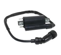 Ignition Stator Magneto Coil For Suz&uki AN250 AN400 EN125 TU125 GN125 GS125 DF125 DF200 DR200 DR125SE DR200SE Boat Ignition Coil Assy Motorcycle Ignition Coil
