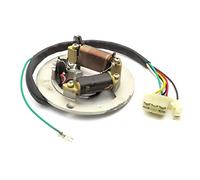 Ignition Stator Magneto Fits Dirtbike PW80 PW 80 Peewee 2 Coil 6 Wire