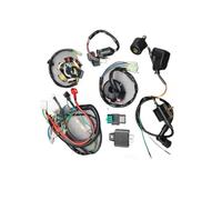 Ignition Stator Magneto FOR 50CC-110CC FOR 4 Stroke FOR ATV Complete Wiring Harness CDI STATOR 6 Coil Pole Ignition Electric Quad Dirt Pit Bike