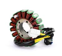 Ignition Stator Magneto For Arctic For Cat For Bearcat Z1 XT GS 2012-2014 For ProClimb M1100 For ProCross F1100 3007-231 Motorcycle Stator Coil Magneto Generator Motorcycle Stator Coil