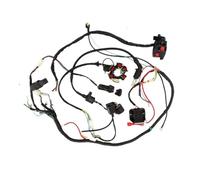 Ignition Stator Magneto For ATV Quad For GY6 125cc 150cc ELECTRICS Stator Wire Wiring Harness Magneto Ignition Coil CDI Rectifier Solenoid Parts