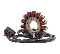 Ignition Stator Magneto For BMW For S1000RR K46 S1000R K47 HP4 K42 HP 4 1000 For EFI For S1000XR K49 Motorcycle Generator Stator Coil Comp Motorcycle Stator Coil