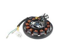 Ignition Stator Magneto GY6 125cc 150cc 180cc 200cc 12 Coils DC Magneto Stator for Scooter Moped for ATV Go Kart Quads 152QMI 157QMJ Engine