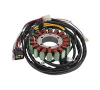 Ignition Stator Magneto Magneto Stator Starter Solenoid Relay for MAGNUM 425 2X4 1995-1998 for 4X4 1995-1999 for 6X6 1997-1998 3084974 3086860