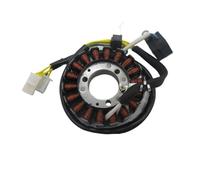 Ignition Stator Magneto Pole Small Stator Coil 170M.6.1.2 Magneto For Linhai 260cc 300cc For Keeway Jinlang Feishen Scooter ATV 24001