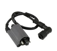 Ignition Switch Coil For Keeway For Jinlang For Feishen Scooter ATV YP250-5078 For Linhai 250 260 300 Coil Ignition + Cap Spark Plug For Ignition Coil