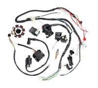 Ignition switch Electrics CDI Wire Harness Stator Assembly Wiring For 150cc 200cc 250cc Push Rod Engine Dirt Bike ATV QUAD Motorcycle