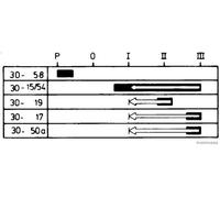 Ignition Switch HERTH+BUSS ELPARTS 70596034