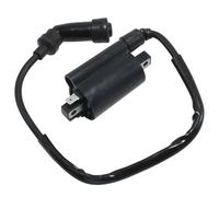 Ignition Switch Ignition Stator For Suzuki For AN250 For AN400 For EN125 For TU125 For GN125 For GS125 For DF200 For DR200 For DR125SE For DR200SE Boat Ignition Coil Assy