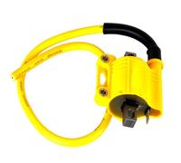 Ignition Switch Ignition Stator For ZhongShen For NC250 For NC300 Engine Off-road Motorcycles Parts CDI Box Ignition Coil D8RIV Iridium Spark Plugs Set(Ignition coil)