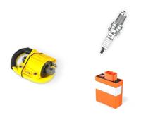 Ignition Switch Ignition Stator For ZhongShen For NC250 For NC300 Engine Off-road Motorcycles Parts CDI Box Ignition Coil D8RIV Iridium Spark Plugs Set(CDI Ignition set)