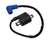 Ignition System For Arctic Cat ATV 300 3x4 4x4 1998 1999 2000 2001 2002 2003 2004 2005 Ignition Coil Engine Ignition Coil Plug