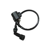 Ignition System For Suzuki 125cc AN 125 AN125 Spare Parts Motorcycle Scooter Elecrtric Ignition Coil