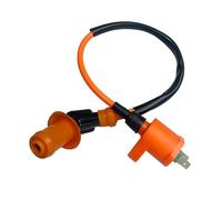 Ignition System For TRX300 GY6 50CC 125CC 150CC Engine Motorcycle Dirt Bike Scooter Moped Performance Ignition Coil