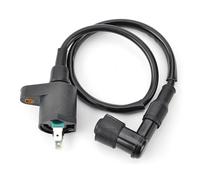 Ignition System Motorcycle Ignition Coil Assy For SKY For TEAM ST 125-1 ST50 PBR 125-11 For T-Rex 125-6 50-6 50-8 For Skymax 125-8 AKO-306001-0012-02 Wiring Loom CDI Ignition Coil