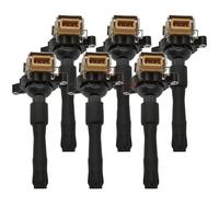 Ignitions 1PCS/6PCS 12131748017 Ignition Coil 1748017 LR022494 For Park For Ward 5.4L V12 2002 For Silver For Seraph 5.4L V12 1999 2000 2001 2002 Magneto Coil(6pcs)