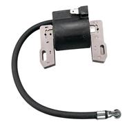 Ignitions Coil for 691060 592846 799651