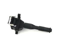 Ignitions OEM 12131703227 12131748018 For BMW For X5 Z8 E36 E46 E39 E38 Ignition Coil 0221504029 0221504029 Car Parts Magneto Coil(1pcs)