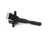 Ignitions OEM 12131703227 12131748018 For BMW For X5 Z8 E36 E46 E39 E38 Ignition Coil 0221504029 12131703825 Car Parts Magneto Coil(1pcs)