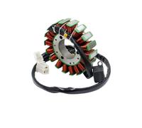 Ignitor Stator Coil Compatible With GT650R GT650 ST7 Carb GV650 GT650X Special Edition ATV GOES 450 X TE450S