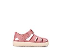 Igor Bay Rosa S10340383 12 UK Kid