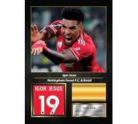 Igor Jesus Signed Football Memorabilia - Framed Autograph Display with Nottingham Forest & Brazil Tribute - Collector’s Gift for Fans, A4 Poster + Silver Frame