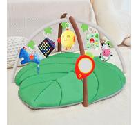 iGRATENS Baby Gyms & Playmats, Baby Play Mat with Farm Animal Hanging Toys, Sounds Paper Book, Cute Mirror, Smooth Theether, Guidebook, Newborn Baby Gifts, Playmat for Babies, Newborns, and Infants