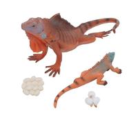 Iguana Life Cycle Set, PVC Realistic Reptile Growth Stages Educational Science Toy for Kids Classroom Learning