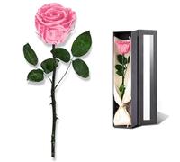IGXX Eternal Rose in Box, Pink Single Flower with Stem, Forever Rose Keepsake for Her, Romantic Anniversary Birthday Valentine Present