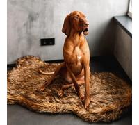 IHAPPYDOG Luxury Orthopaedic Faux Fur Dog Bed, Memory Foam Dog Bed for Small, Medium, Large and XL Pets, Fluffy Pet Bed with Waterproof and Washable Cover (Brown,