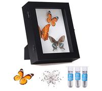 IHEIPYE Insect Display Case Bug Display Case with Anti Fade UV Protection Acrylic Top Eva Foam Pinning Board and 3 Sizes Pins Shadow Box for Bug Butterfly Insect Specimen Collection Display