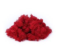 IHKFILAN Reindeer Moss 100 Gram Real Preserved Natural for Crafts, Decorative Easter Decoration, Model Making (Red, 3.5 OZ)