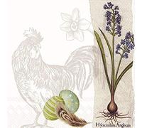 IHR - Botanical Easter Luncheon Napkin L732200 3ply 20 Count