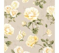 IHR Ideal Home Range Cocktail Napkins Disposable 3-Ply Paper Party Napkin Pack, 5" x 5", Beth, 20-Count