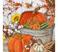 IHR Ideal Home Range Cocktail Napkins Disposable 3-Ply Paper Party Napkin Pack, 5" x 5", It's Pumpkin Time, 20-Count