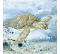 IHR Ideal Home Range Cocktail Napkins Disposable 3-Ply Paper Party Napkin Pack, 5" x 5", Under Sea Turtle, 20-Count