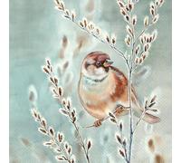 IHR Ideal Home Range Cocktail Napkins Disposable 3-Ply Paper Party Napkin Pack, 5" x 5", Winter Melody (Blue Green), 20-Count