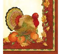 IHR Ideal Home Range Cocktail Napkins Disposable 3-Ply Paper Party Supplies, 5" x 5", Autumn Thanks, 20-Count
