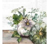 IHR Ideal Home Range - Paper Napkins Green and White Pumpkin Cream 20 pc. 3-Ply Lunch Napkins 33 cm x 33 cm / 13 inch x 13 inch