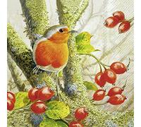 IHR Ideal Home Range - Paper Napkins Robin in The Forest 20 pc. 3-Ply Lunch Napkins 33 cm x 33 cm / 13 inch x 13 inch