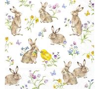 IHR Ideal Home Range Party Napkins Disposable 3-Ply Paper Lunch Napkin Pack, 6.5" x 6.5", Easter Friends (White), 20-Count