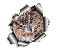 ihreesy Window Car Sticker,Window Decal Owl Sticker Waterproof Car Body Window Sticker Self-Adhesive 3D Stickers Decor Car Styling Sticker for Vehicle Gift Home Decoration